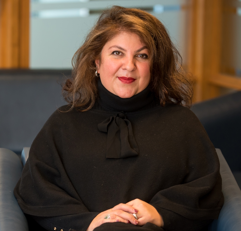 Professor Bita Amani is a researcher and teacher specializing in intellectual property law, information privacy, data protection, and feminist legal studies. 