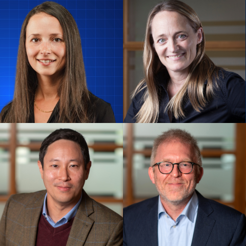 Professors Bethany Hastie, Cherie Metcalf, Ivan Ozai, and Darryl Robinson have received national funding for their research projects examining labour rights and access to justice, public trust in courts, tax avoidance, and accountability for environmental harm, respectively.