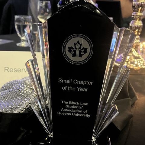 BLSA-Queen’s won the Black Law Students’ Association of Canada’s Small Chapter of the Year Award for going over and above to serve its members and communities.