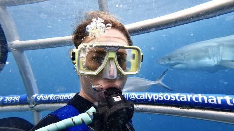 Student cage diving in Australia 