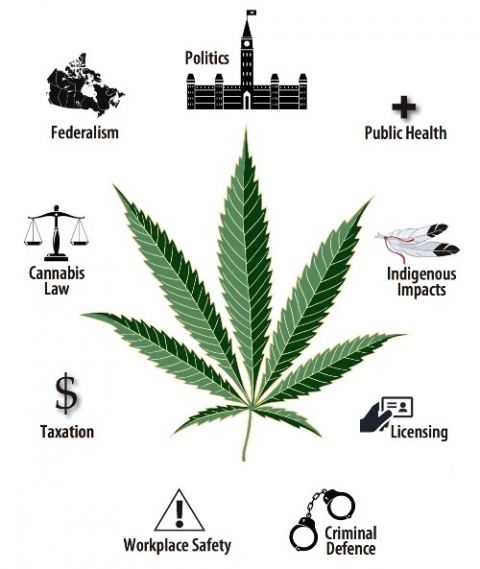 Legalizing And Regulating Marijuana | Queen's Law