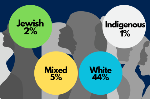 Racialized Groups 2025 Class 3