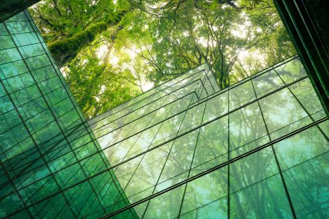A greenhouse