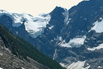 Institutions & Effective Climate Action